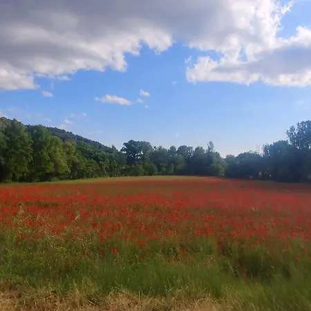 Hotel L'aiguebelle 2*