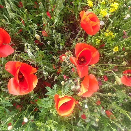 فندق L'aiguebelle