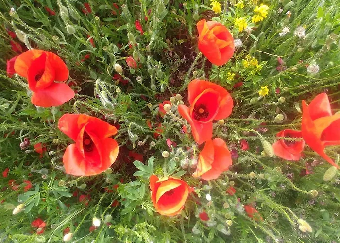 酒店 里格贝勒酒店