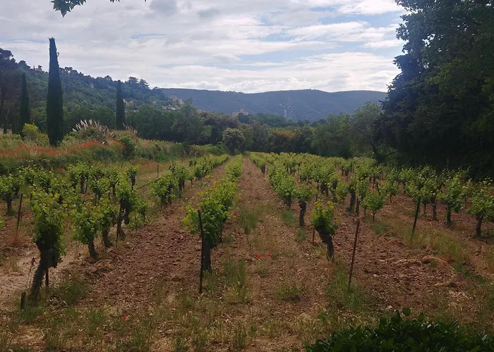 里格贝勒酒店 酒店 2*