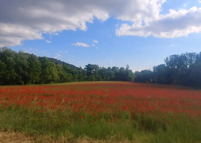 酒店 里格贝勒酒店 2*